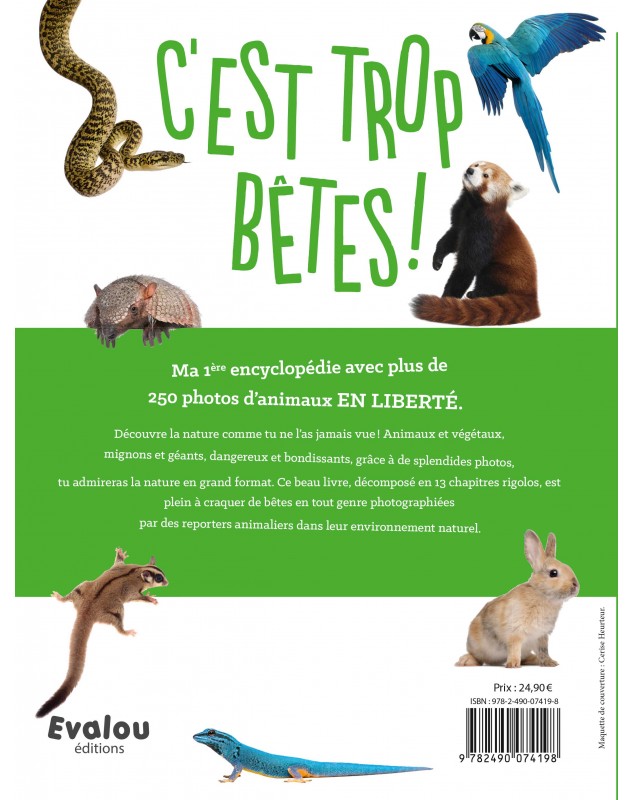C'EST TROP BÊTES : Des photos d'animaux en LIBERTÉ.