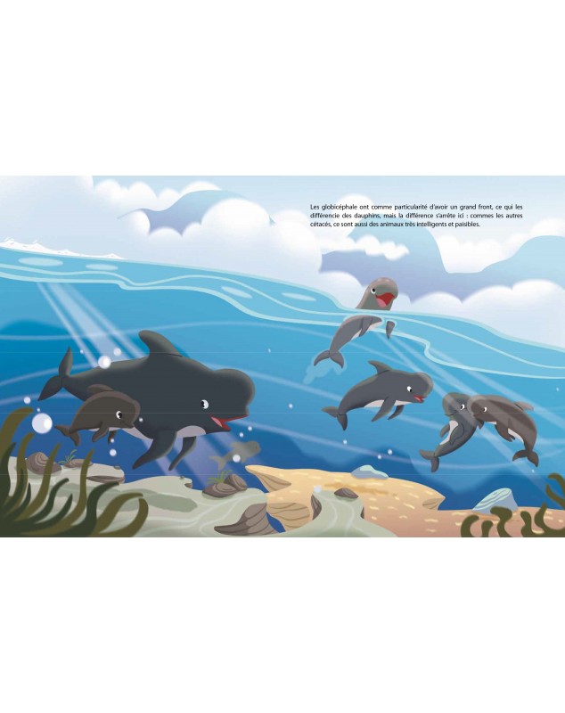 Captain Paul Watson combat le Grind (grindadráp) aux îles Féroé