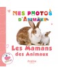 Les mamans des animaux